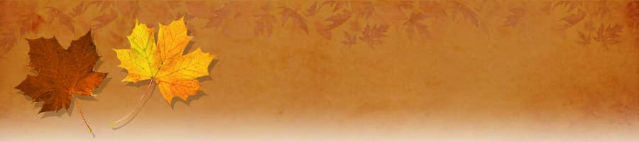 キャンプ用具研究所